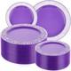 100 Pack Purple Silver Plastic Plates Disposable Plates With Silver Rim Plast
