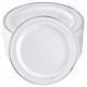 100pieces Plastic Plates-10.25inch Rim Disposable Dinner Plates-ideal Silver