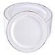 100pieces Plastic Plates-rim Disposable Dinner Plates-ideal 10.25inch Silver