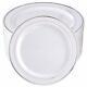 100pieces Silver Plastic Plates-10.25inch Silver Rim Disposable Dinner Plates-i
