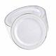 Bucla 100pieces Silver Plastic Plates-10.25inch Silver Rim Disposable Dinner