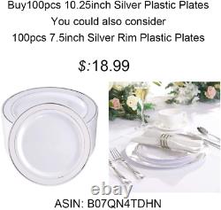 BUCLA 100Pieces Silver Plastic Plates-10.25inch Silver Rim Disposable Dinner for