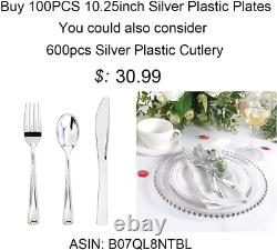 BUCLA 100Pieces Silver Plastic Plates-10.25inch Silver Rim Disposable Dinner for