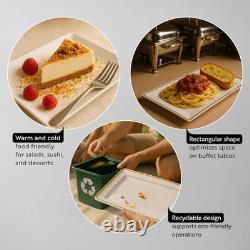 Moderna 9.5 X 6.3 Inch Premium Disposable Plates 100 Rectangular Plastic Plates