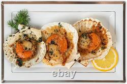 Moderna 9.5 X 6.3 Inch Premium Disposable Plates 100 Rectangular Plastic Plates