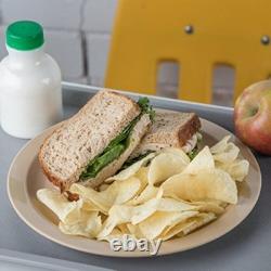 Reusable plastic plate dining plate with narrow rim for home and resta