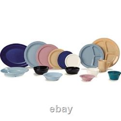 Reusable plastic plate dining plate with narrow rim for home and resta