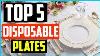 Top 5 Best Disposable Plates In 2019