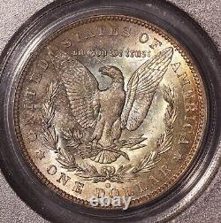 1904-O Morgan $ PCGS 64, Tonalité multicolore au revers, Avers éclatant avec ton de bord doré