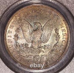 1904-O Morgan $ PCGS 64, Tonalité multicolore au revers, Avers éclatant avec ton de bord doré