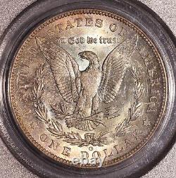 1904-O Morgan $ PCGS 64, Tonalité multicolore au revers, Avers éclatant avec ton de bord doré