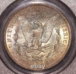 1904-O Morgan $ PCGS 64, Tonalité multicolore au revers, Avers éclatant avec ton de bord doré