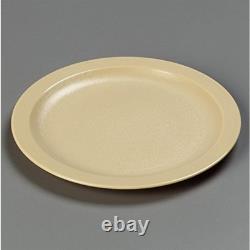 Assiette en plastique réutilisable avec bord étroit pour la maison et le restaurant