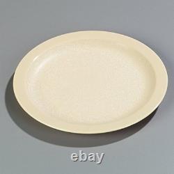 Assiette en plastique réutilisable avec bord étroit pour la maison et le restaurant