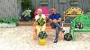 Hsn Guy S Dans Le Jardin 25 04 2025 11h